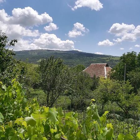 Guest House Luka Manglisi Εξωτερικό φωτογραφία