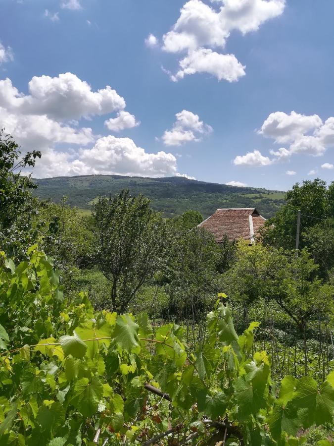 Guest House Luka Manglisi Εξωτερικό φωτογραφία